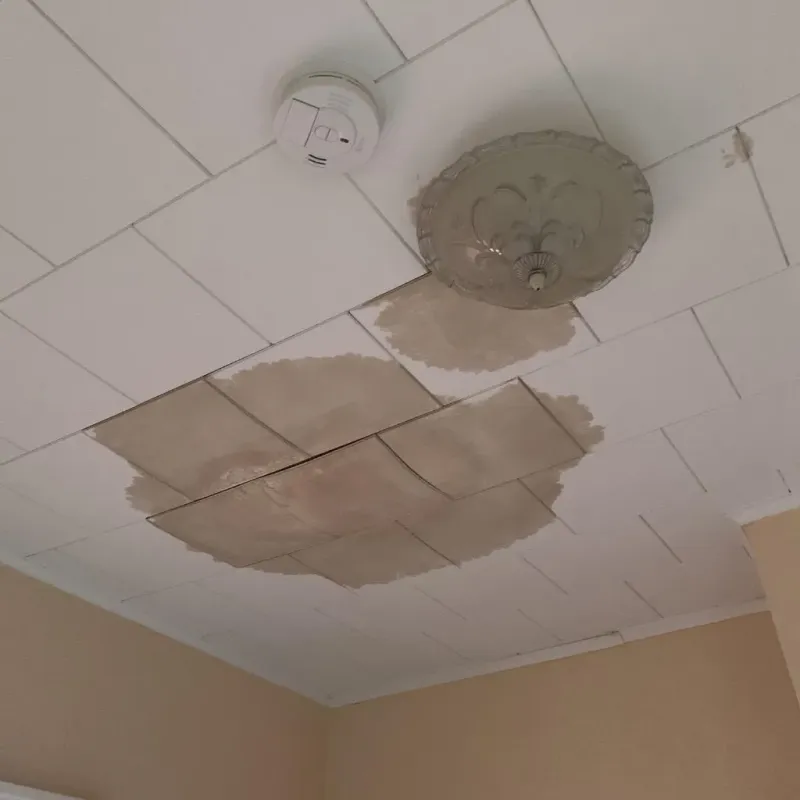 Ceiling Water Damage Repair in Center Point, IA