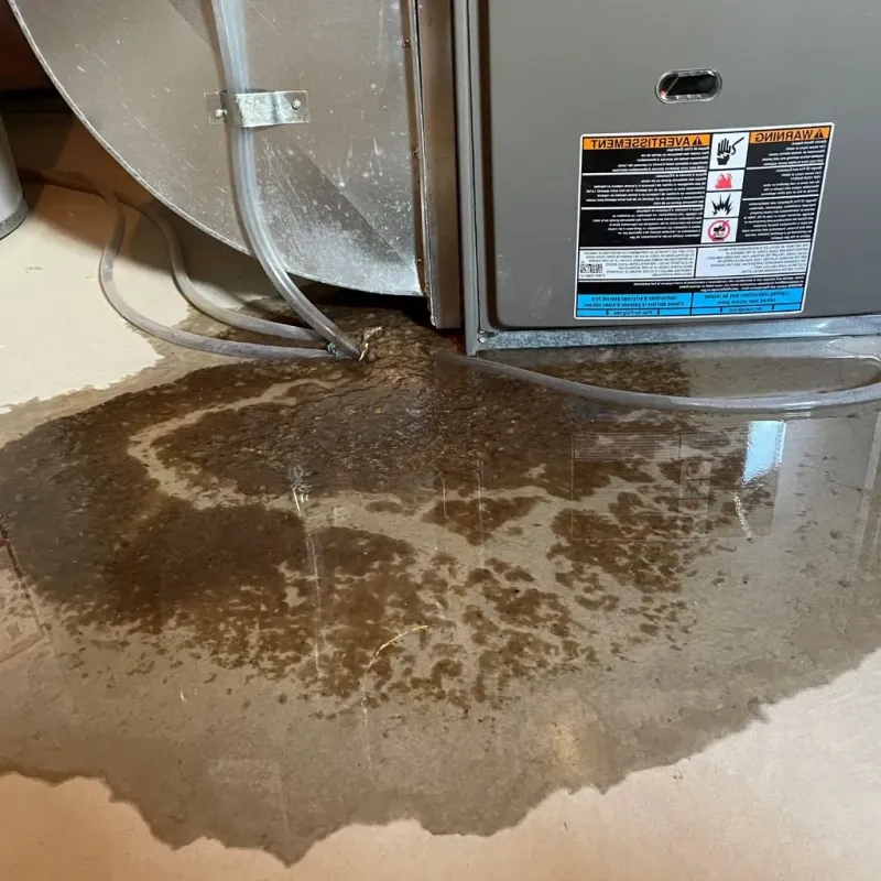 Pipe Burst and Leak Restoration in Center Point, IA