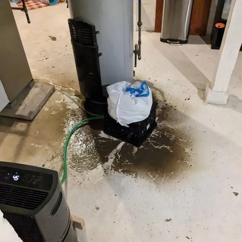 Sewage Backup Cleanup Service in Center Point, IA